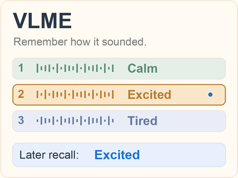 VLME: retaining voice cues across conversation turns for later recall