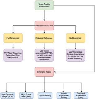Video quality assessment taxonomy